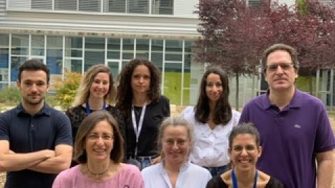 Integrantes del equipo de Adri&aacute;n Vel&aacute;zquez: (de pie, de izquierda a derecha) David Ortega, Laura Ceballos, Ana Jim&eacute;nez, Violeta Morcuende y Adri&aacute;n Vel&aacute;zquez; (sentados, de izquierda a derecha) Olga Abi&aacute;n, Sonia Vega y Sonia Hermoso.