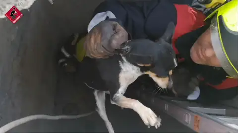 Un bombero, en el momento del rescate de uno de los perros. RESCATE