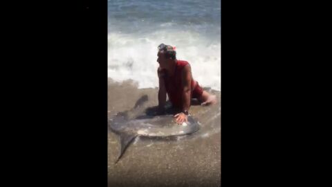 Captura del v&iacute;deo en el que puede verse como el hombre retiene al pez luna en la orilla.