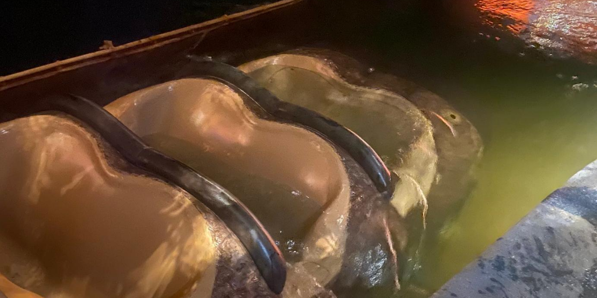 Una atracción de Disney World Orlando se hunde con pasajeros dentro Una atracción de Disney World Orlando se hunde con pasajeros dentro