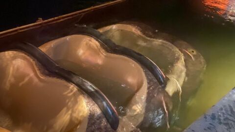 Atracci&oacute;n Splash Mountain de Disney World Orlando