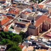 El nuevo brote en la provincia ha sido detectado en Membrilla El nuevo brote en la provincia ha sido detectado en Membrilla