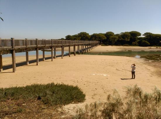 Ayuntamiento y Junta descartan vertidos de la depuradora en el Río San Pedro Ayuntamiento y Junta descartan vertidos de la depuradora en el Río San Pedro