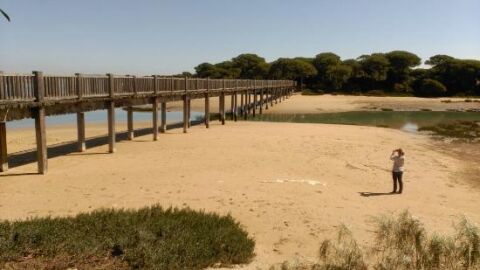 Playa del r&iacute;o San Pedro