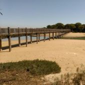Playa del río San Pedro