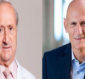 Avance importante en la investigación para combatir la artrosis Avance importante en la investigación para combatir la artrosis