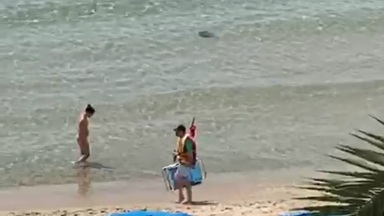 Las rayas toman las playas alicantinas. BENIDORM