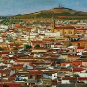El suceso ha ocurrido en Valdepeñas El suceso ha ocurrido en Valdepeñas
