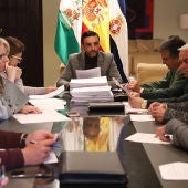 José Antonio Díaz, presidiendo la comisión local de patrimonio histórico