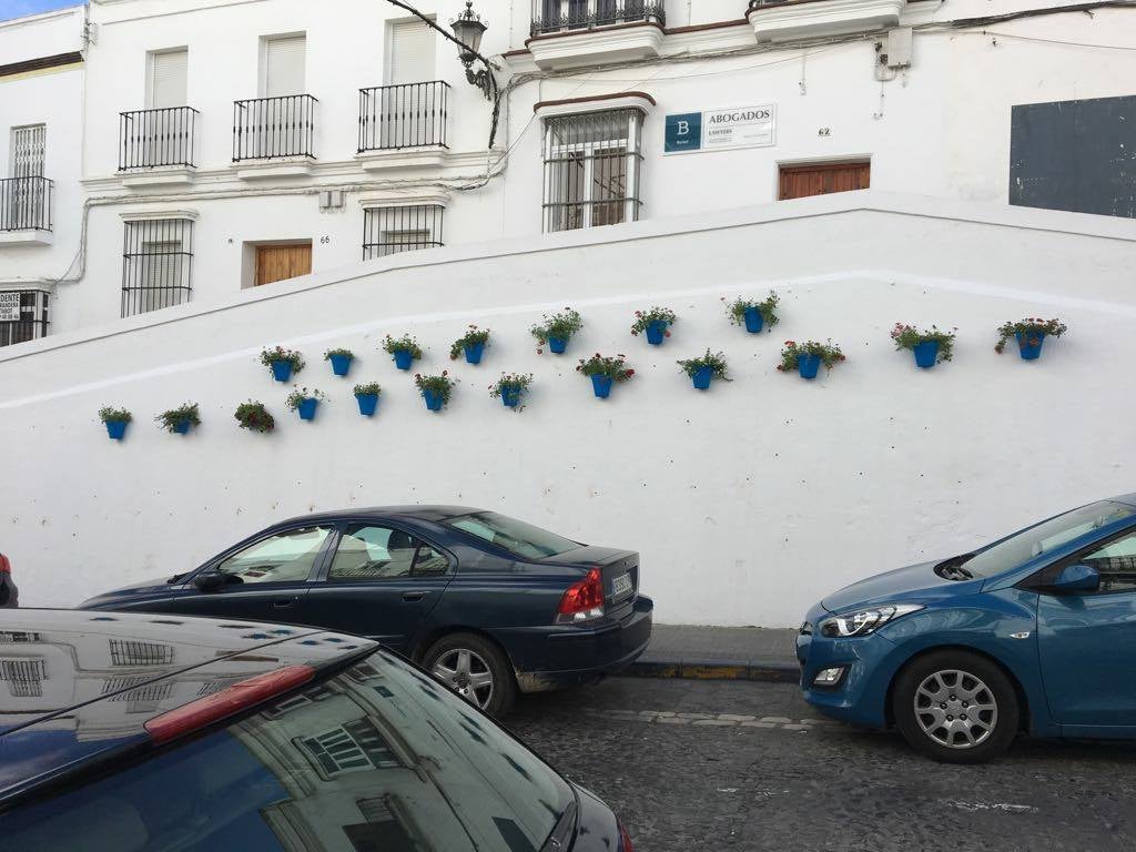 1.100 flores para embellecer el casco antiguo de Arcos 1.100 flores para embellecer el casco antiguo de Arcos