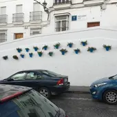 Maceteros de flores en Arcos Maceteros de flores en Arcos