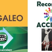 RECOMEND ACCIÓN!!! CON CAFETERÍA GARDEL