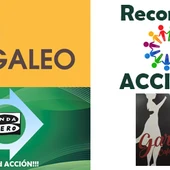 RECOMEND ACCIÓN!!! CON CAFETERÍA GARDEL RECOMEND ACCIÓN!!! CON CAFETERÍA GARDEL