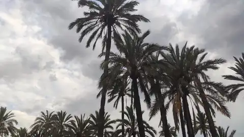 Elche. Mañana se esperan cielos variables y la posibilidad de algún chubasco