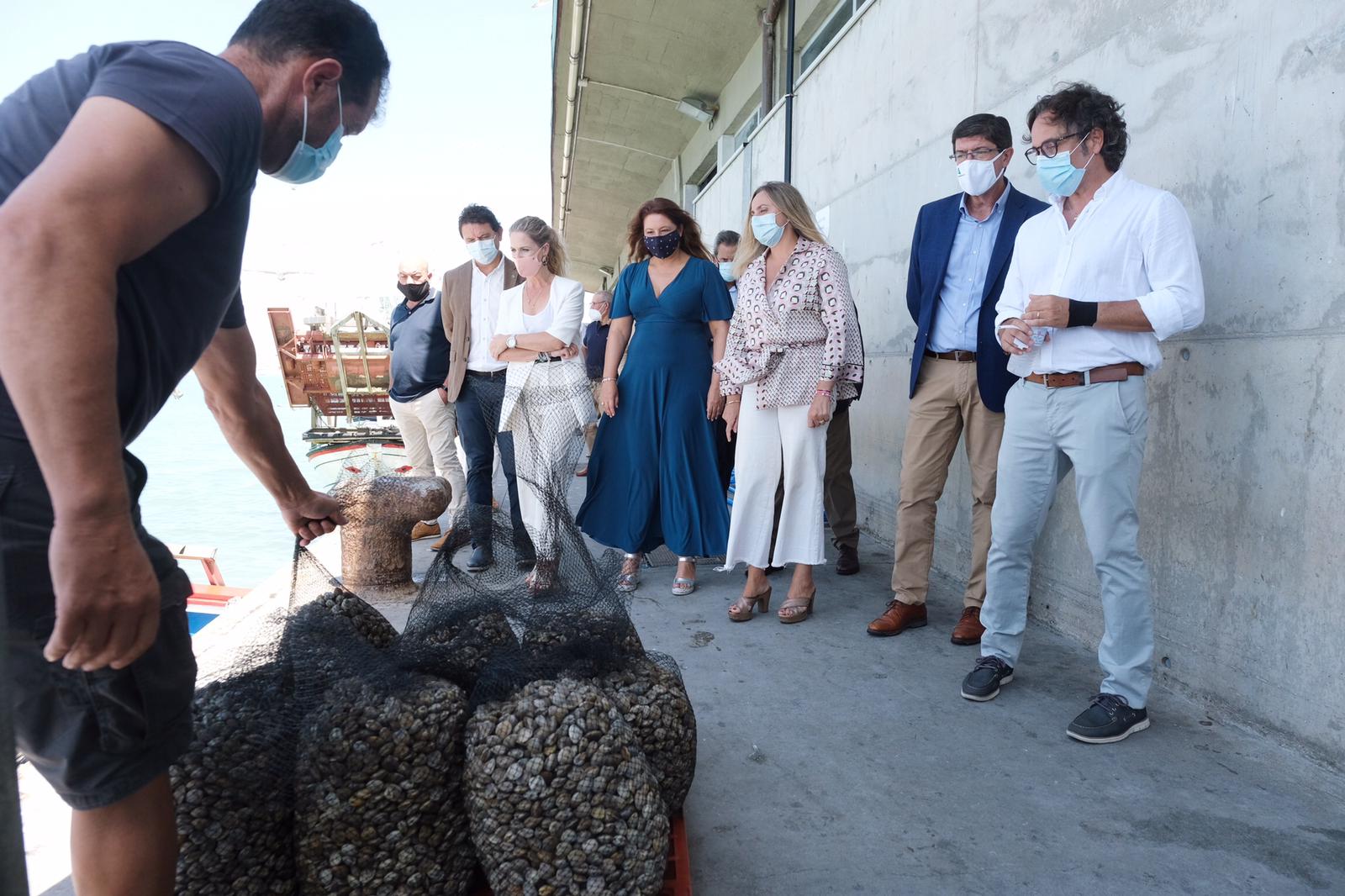 La Junta licitará en septiembre el estudio de la pasarela para unir el dique y el muelle de Bonanza La Junta licitará en septiembre el estudio de la pasarela para unir el dique y el muelle de Bonanza