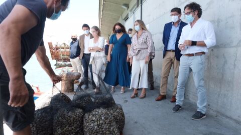 Visita al Puerto de Bonanza