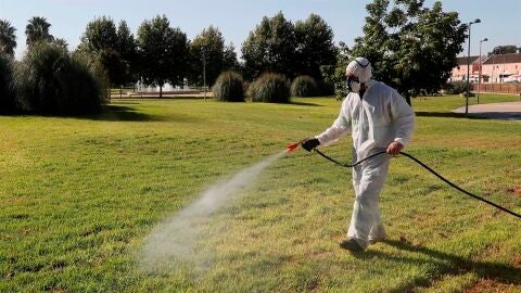 Un operario fumigando en Coria del R&iacute;o por el virus del Nilo