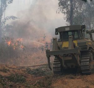 El incendio de Huelva afecta a 10.000 hectáreas y hay más de 3.100 evacuados El incendio de Huelva afecta a 10.000 hectáreas y hay más de 3.100 evacuados