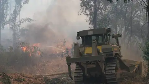 El incendio de Huelva afecta a 10.000 hectáreas y hay más de 3.100 evacuados El incendio de Huelva afecta a 10.000 hectáreas y hay más de 3.100 evacuados