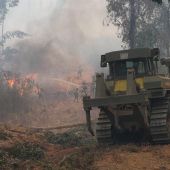 El incendio de Huelva afecta a 10.000 hectáreas y hay más de 3.100 evacuados