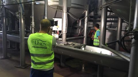 Trabajadores en vendimia