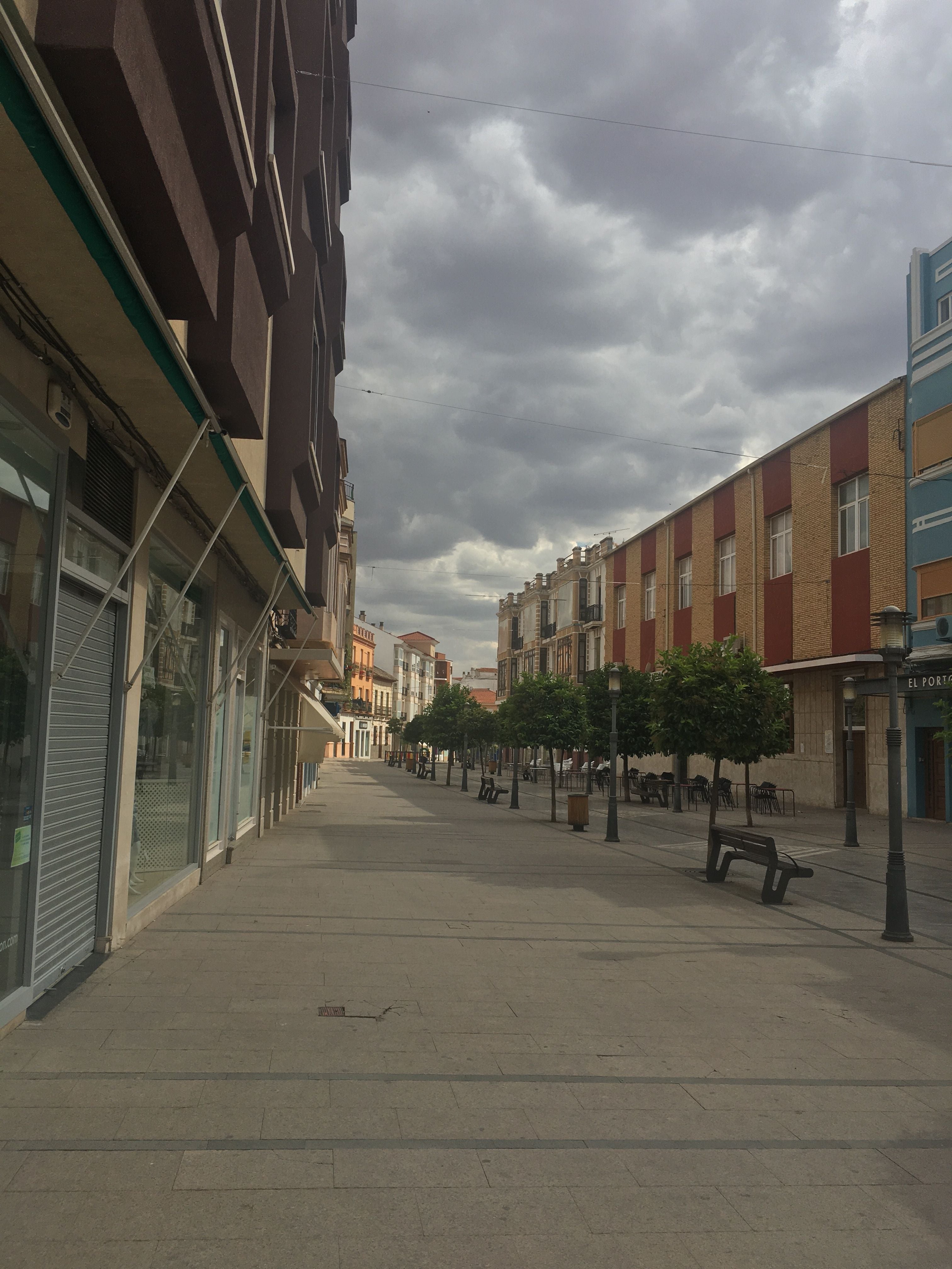 El PP de Alcázar seguirá proponiendo ayudas para frenar la agonía que impone Rosa Melchor El PP de Alcázar seguirá proponiendo ayudas para frenar la agonía que impone Rosa Melchor