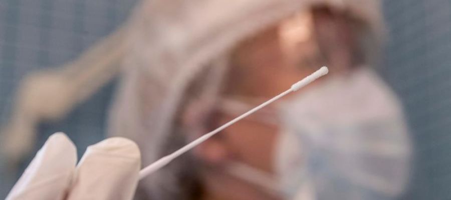 Prueba PCR Prueba PCR