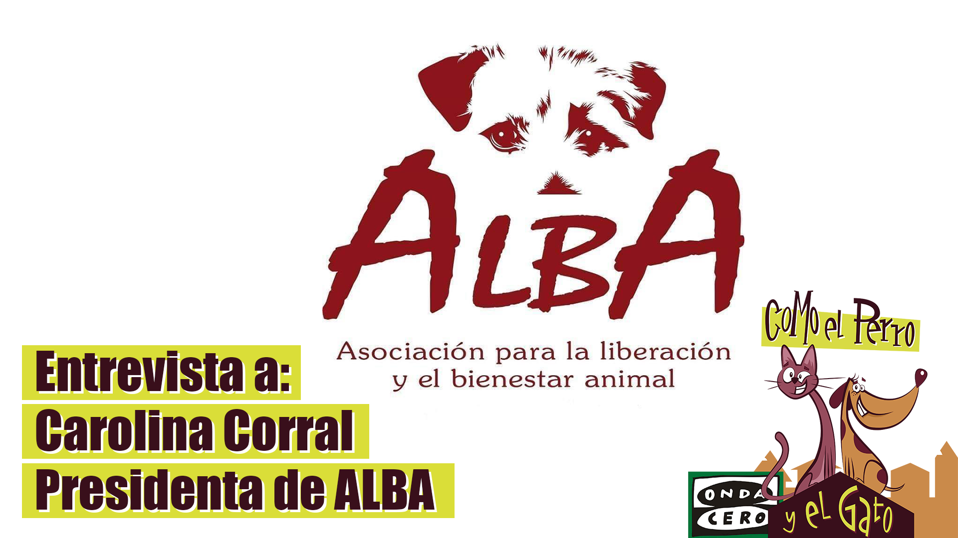 41 perros "casi agonizando" rescatados de una finca en Toledo 41 perros "casi agonizando" rescatados de una finca en Toledo