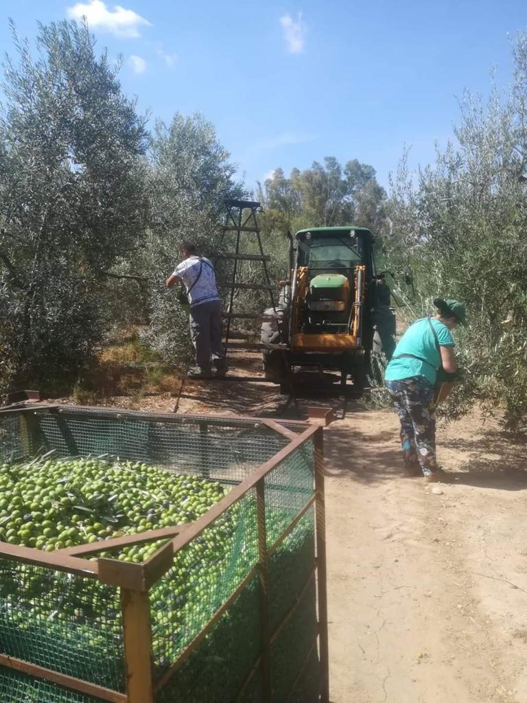 En Balazote ya se preparan para acoger a los temporeros de cara a la próxima campaña agrícola con la nueva ordenanza de habitabilidad En Balazote ya se preparan para acoger a los temporeros de cara a la próxima campaña agrícola con la nueva ordenanza de habitabilidad