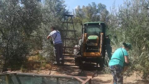 Temporeros agr&iacute;colas