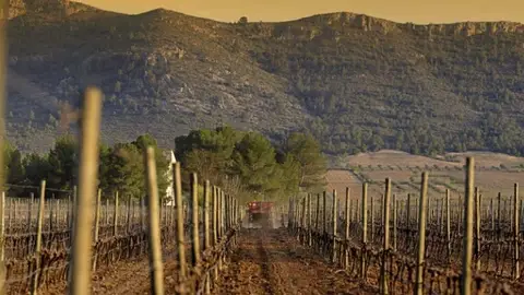 enoturismo vila enoturismo vila