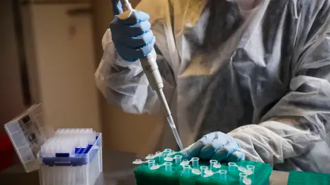 OMS indica que la vacuna no saldrá hasta mediados de 2021 OMS indica que la vacuna no saldrá hasta mediados de 2021