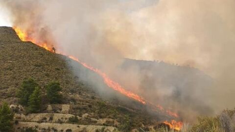 Imagen del frente