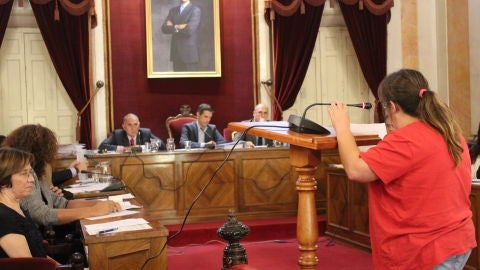 Trabajadores de la Fundaci&oacute;n N&ordm;1 piden en pleno al ayuntamiento de Alcal&aacute; de Henares su ayuda para mantener sus empleos.