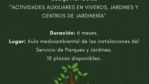 Impefe Programa ciudad real verde