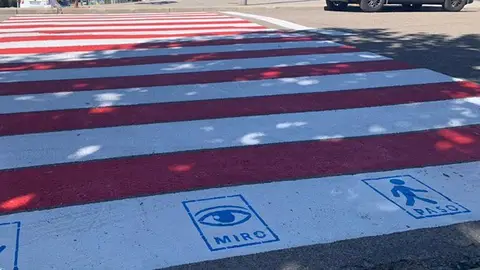 Pictograma Daganzo de Arriba Pictograma inclusivo en paso de cebra de Daganzo de Arriba