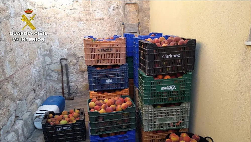 Melocotones incautados en la operación policial. Melocotones incautados en la operación policial.