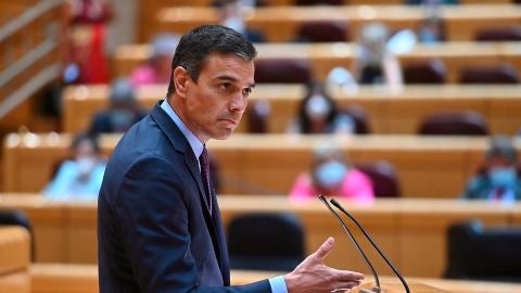  El presidente del Gobierno, Pedro Sánchez, en el pleno del Senado donde ha comparecido para informar sobre la evolución y gestión de la pandemia del coronavirus en diferentes ámbitos.