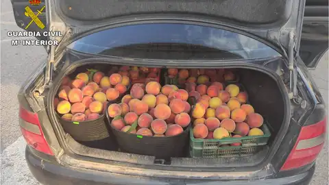 Melocotones robados intervenidos en la operación policial. Melocotones robados intervenidos en la operación policial.