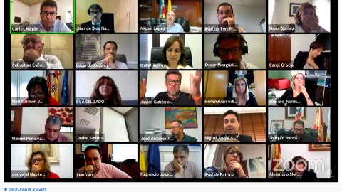 Un momento del pleno telem&aacute;tico de septiembre