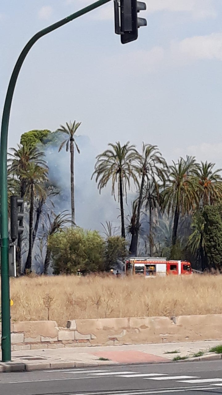 Cs Elche achaca un incendio en el Huerto de San Luis a la “dejadez” en el mantenimiento del gobierno local Cs Elche achaca un incendio en el Huerto de San Luis a la “dejadez” en el mantenimiento del gobierno local