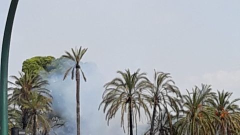 Incendio en Huerto San Luis de Elche.