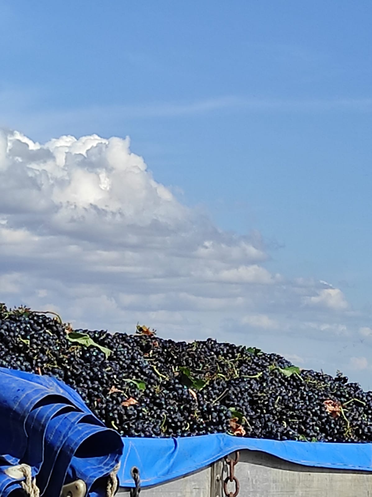 Más de uno La Rioja 13/04/2021 Más de uno La Rioja 13/04/2021