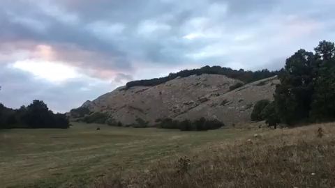 La Berrea en la Monta&ntilde;a Palentina.