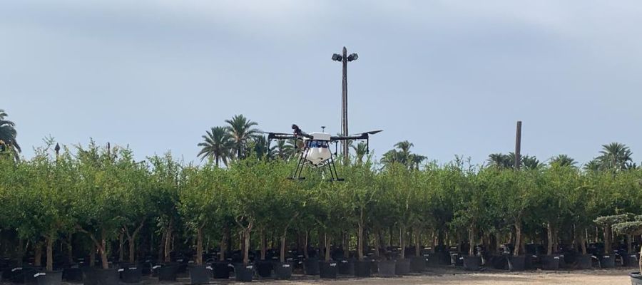 Dron para pulverizar larvicida contra los mosquitos en Elche. Dron para pulverizar larvicida contra los mosquitos en Elche.