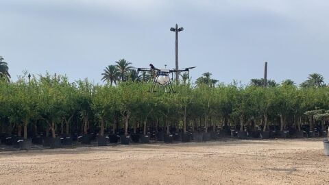 Dron para pulverizar larvicida contra los mosquitos en Elche.