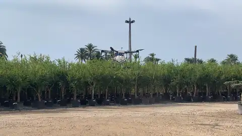 Dron para pulverizar larvicida contra los mosquitos en Elche. Dron para pulverizar larvicida contra los mosquitos en Elche.