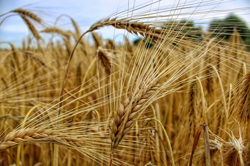 Más de uno La Rioja 19/04/2021 Más de uno La Rioja 19/04/2021