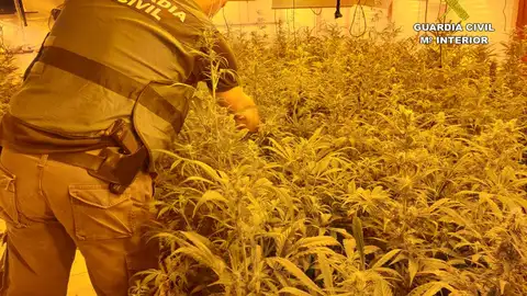 Imagen de archivo Imagen de archivo