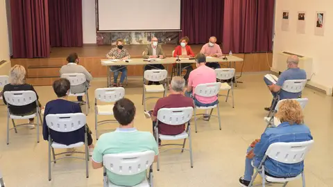 Consejo Local de Salud Argamasilla de Alba